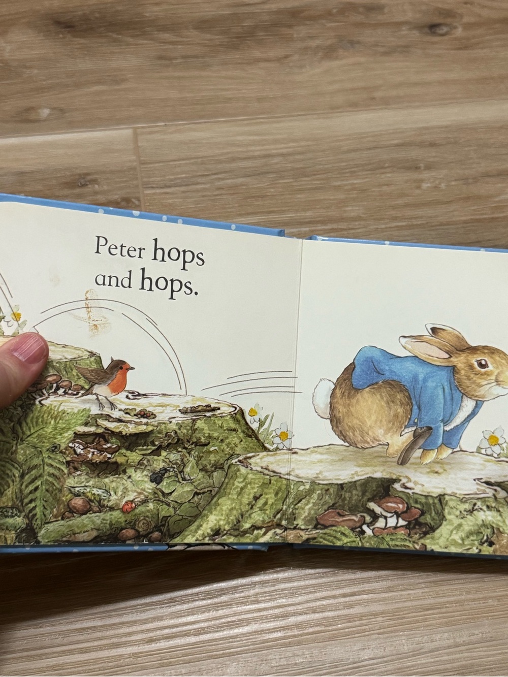 Peter Rabbit board book - Picture 3 of 3